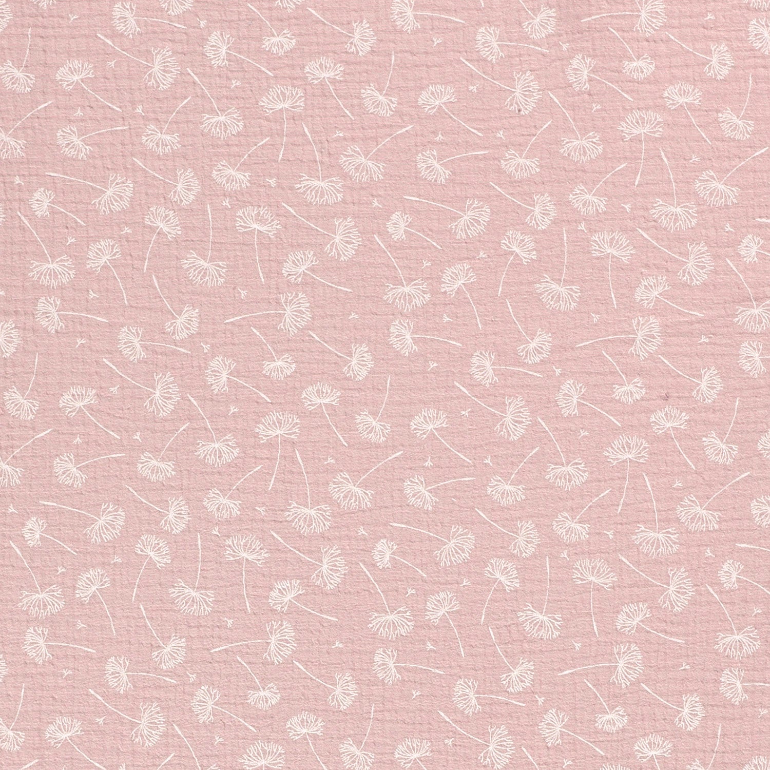 Musselin Rosa - Pusteblumen