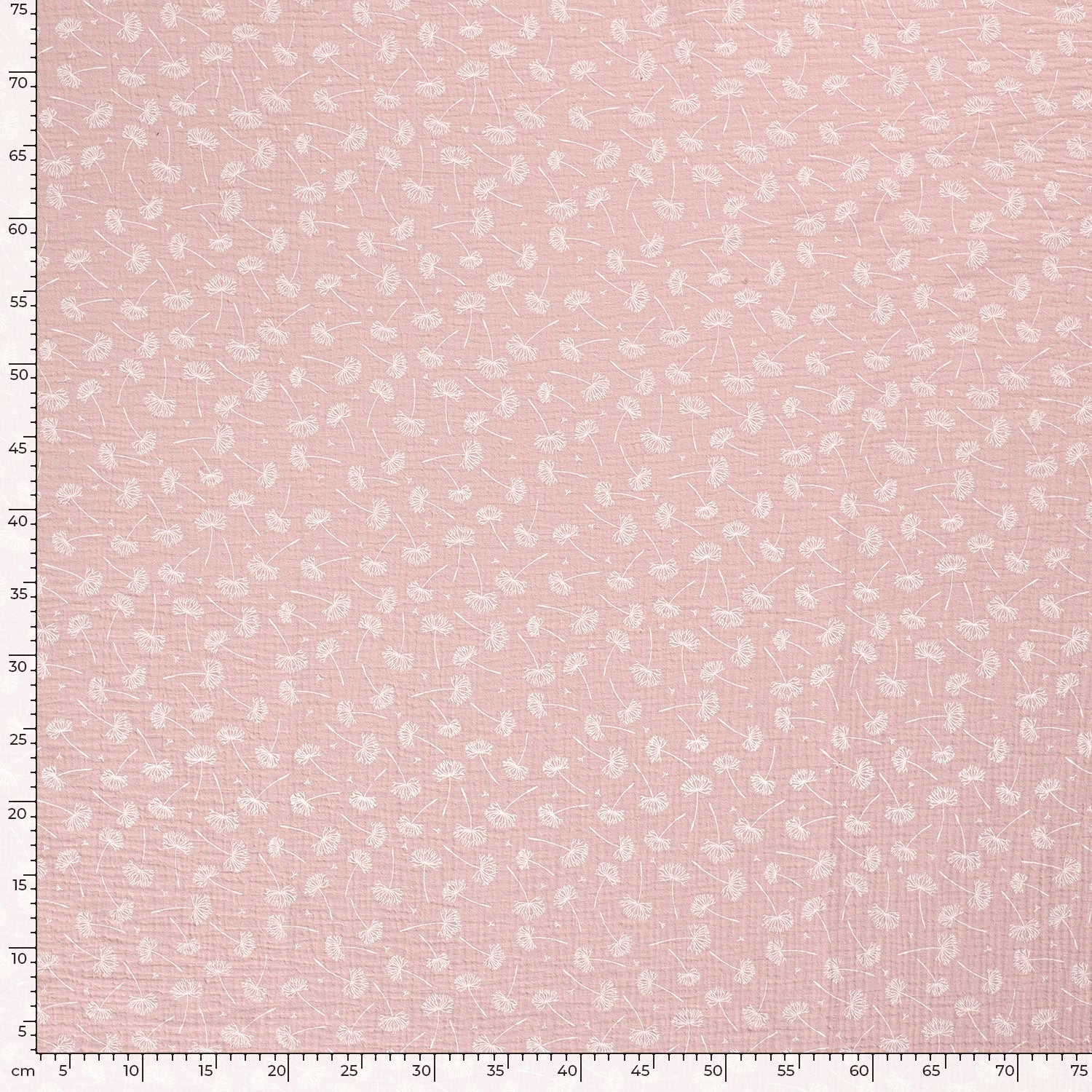 Musselin Rosa - Pusteblumen