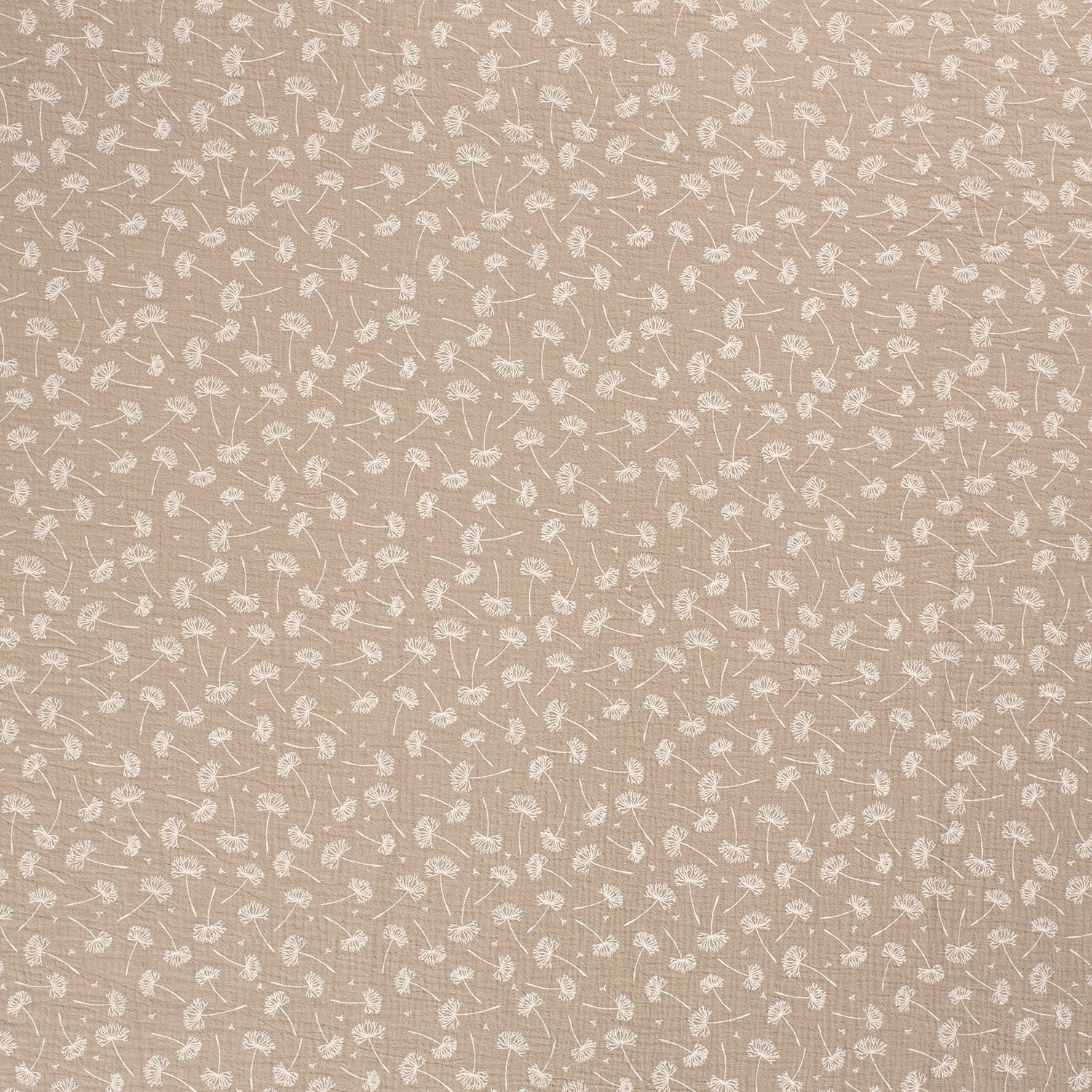 Musselin Beige - Pusteblumen