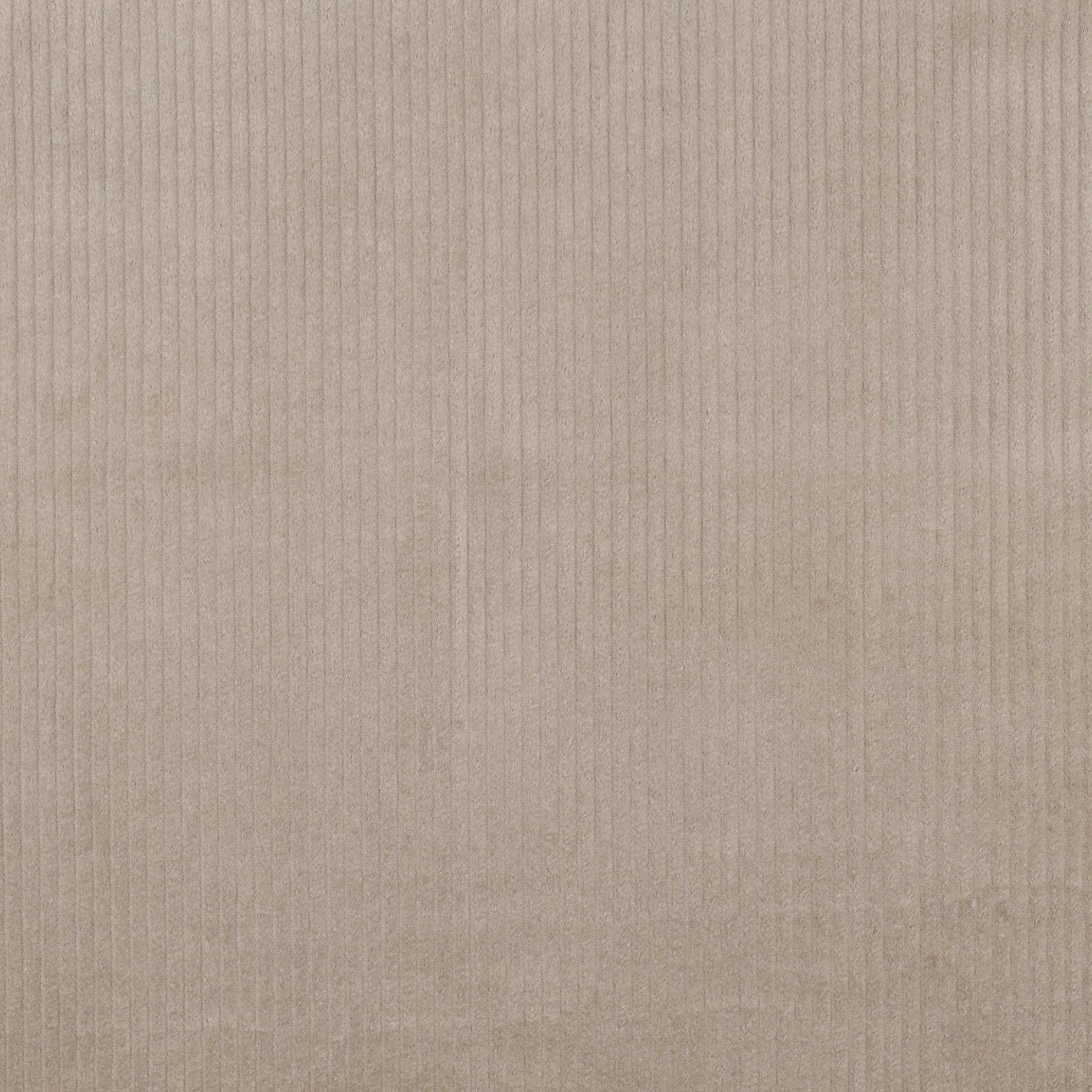 Baumwollcord - Beige