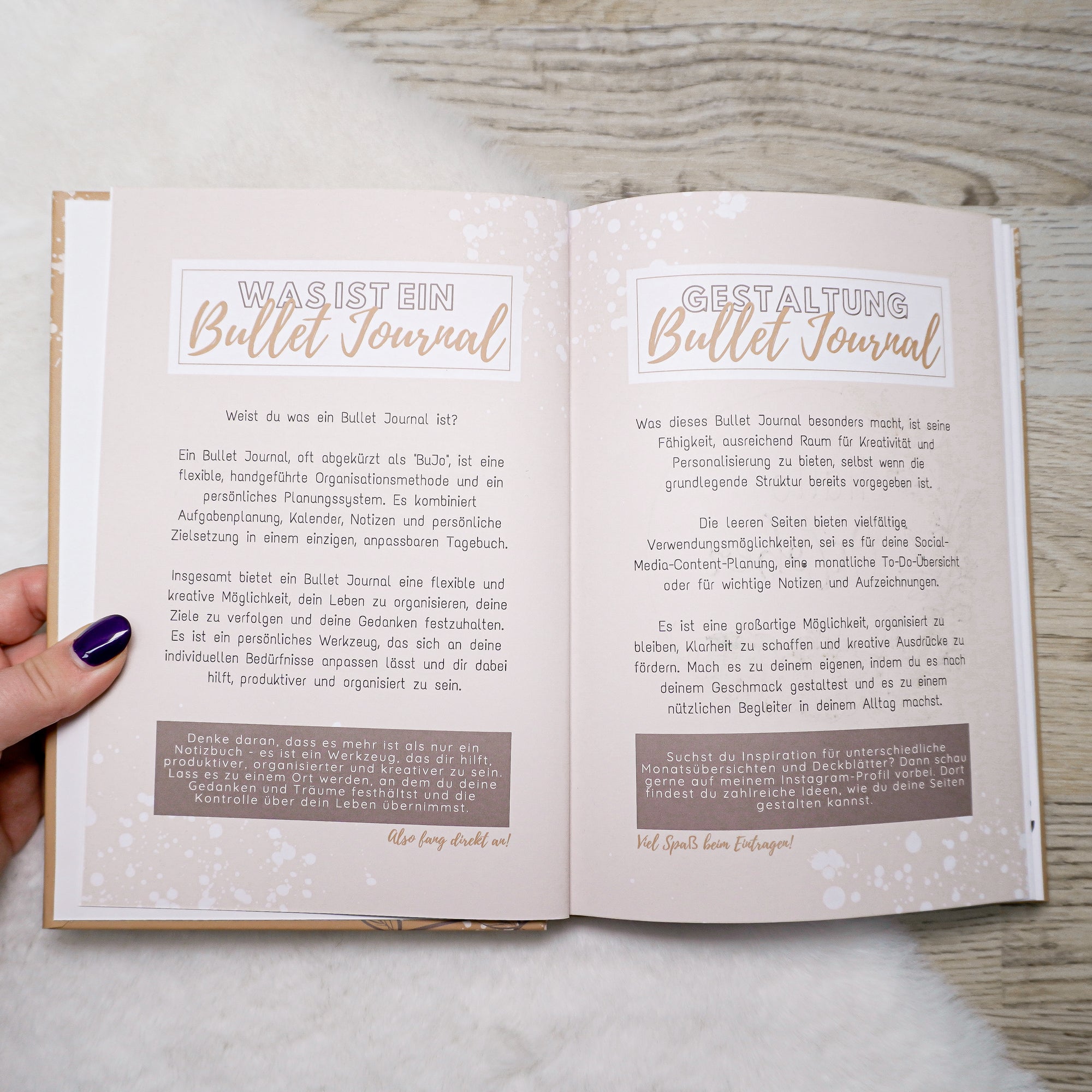 Mein Bullet Journal by Monentia
