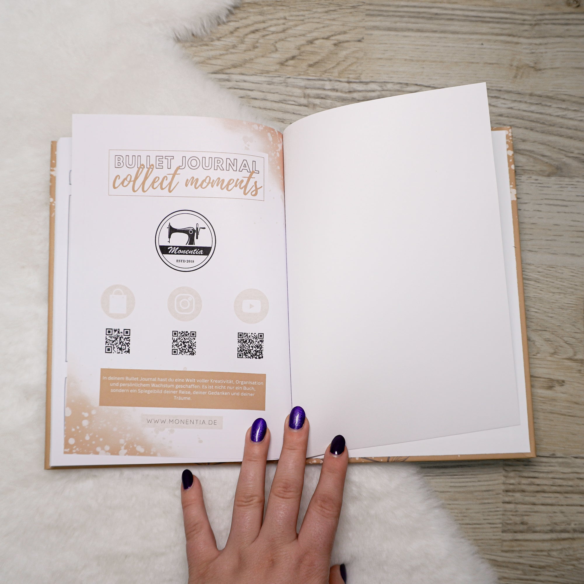 Mein Bullet Journal by Monentia