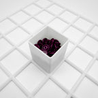 1x1 Aufbewahrungsbox